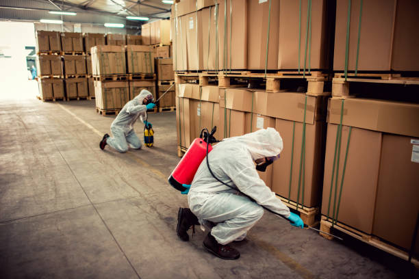 Best Residential Pest Control  in Melcher Dallas, IA