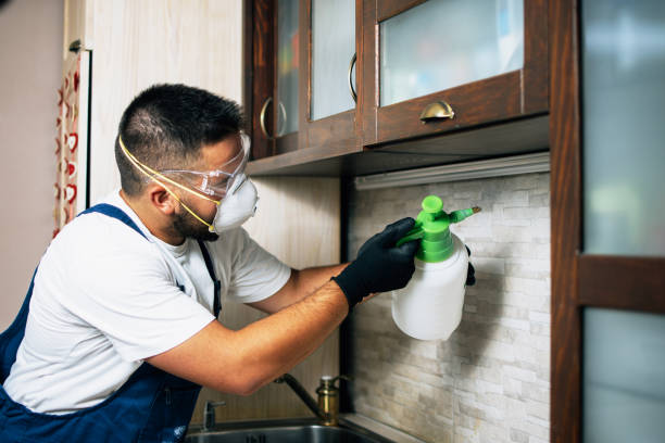 Pest Control for Restaurants in Melcher Dallas, IA