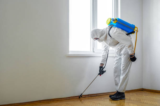 Best Wasp Removal Services  in Melcher Dallas, IA