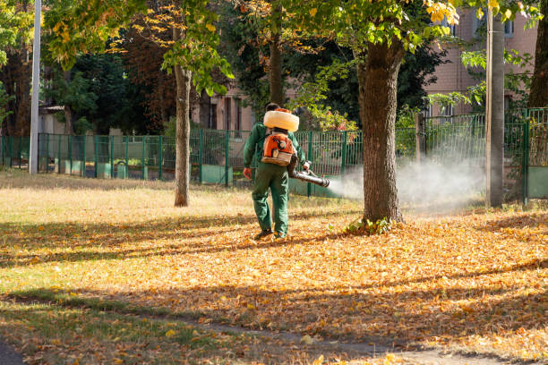 Trusted Melcher Dallas, IA Pest Control Experts