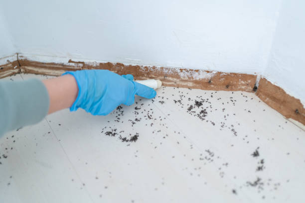 Best Pest Control for Restaurants  in Melcher Dallas, IA